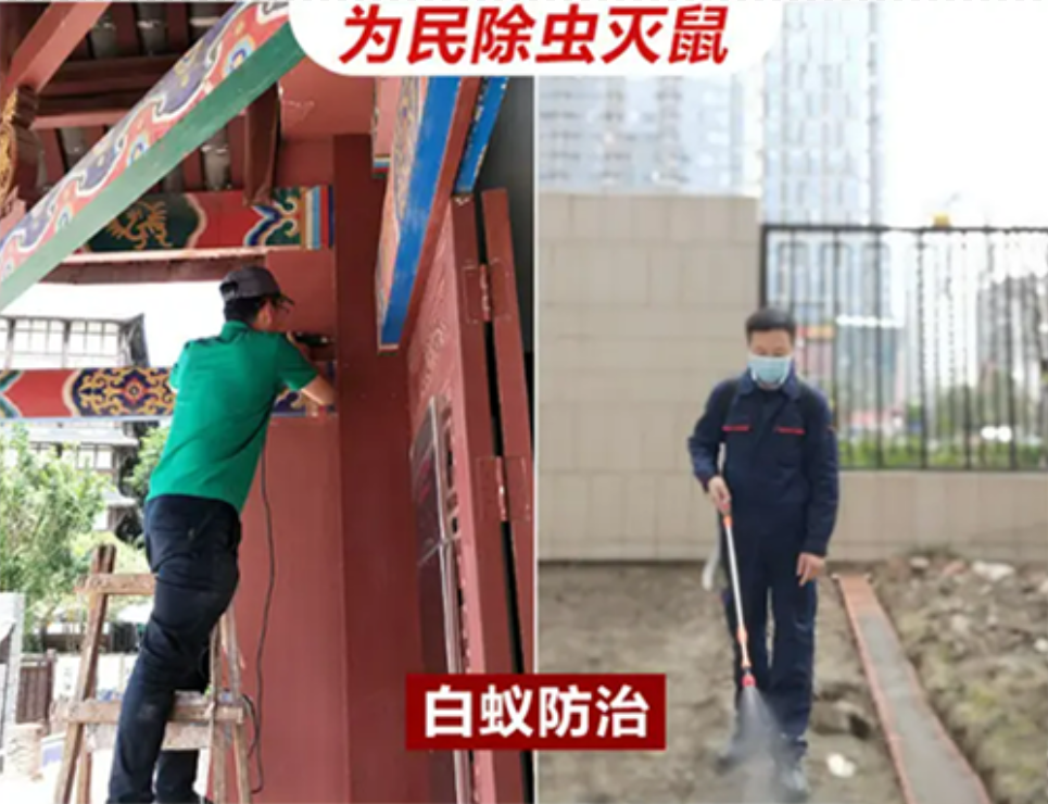 暂无图片