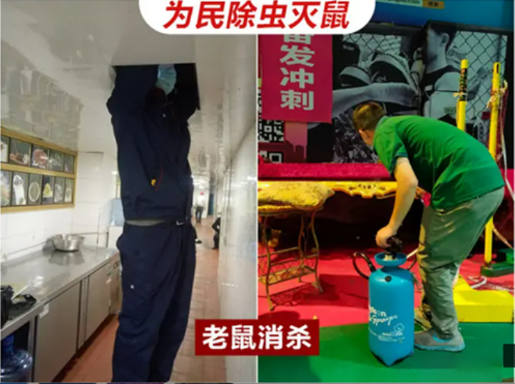 暂无图片