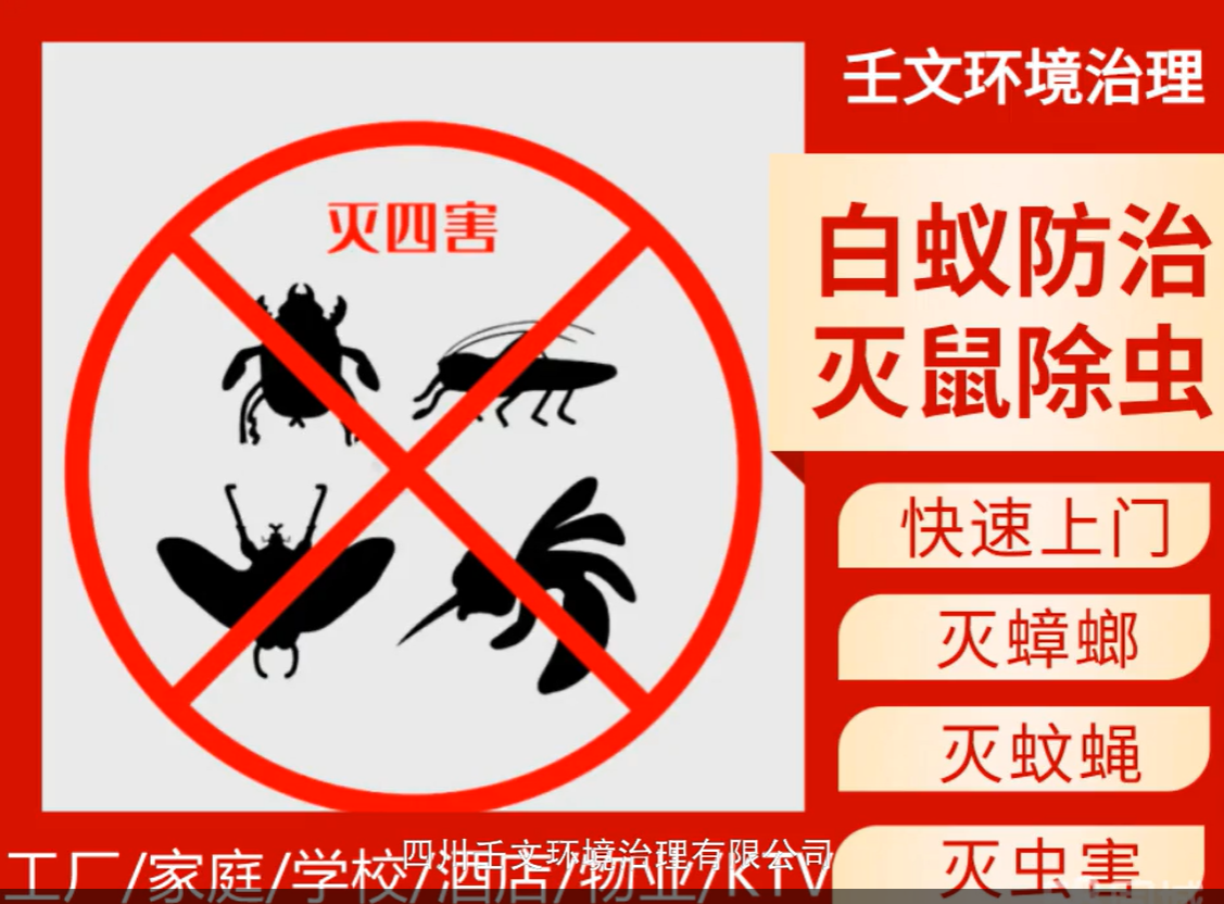 暂无图片