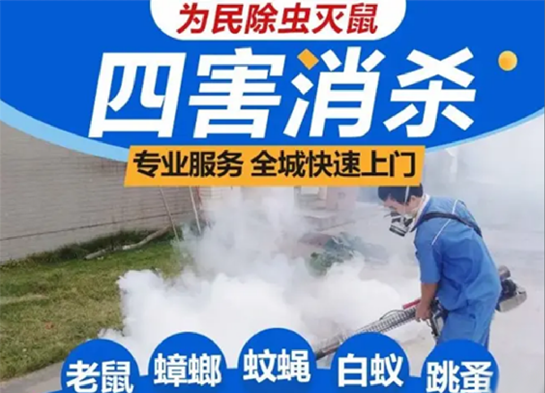 成都为民杀虫灭鼠·消杀|灭白蚁、灭四害、灭蟑螂、灭跳蚤、灭老鼠、灭蚊蝇、灭臭虫