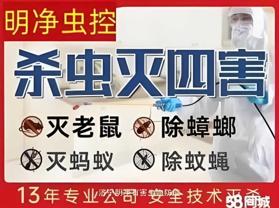 杀虫灭四害，灭老鼠、除蟑螂、灭蚂蚁、除蚊蝇