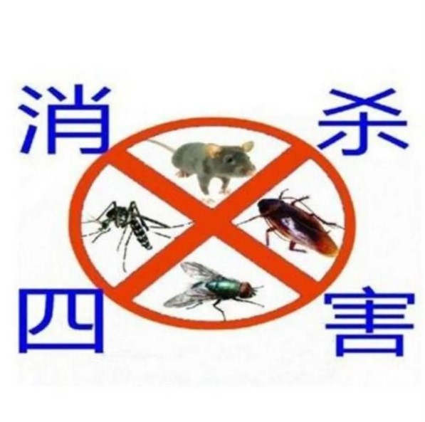 绿净爱卫环境工程|提供全面、安全、可靠的灭白蚁，灭鼠，灭蟑螂，除四害服务