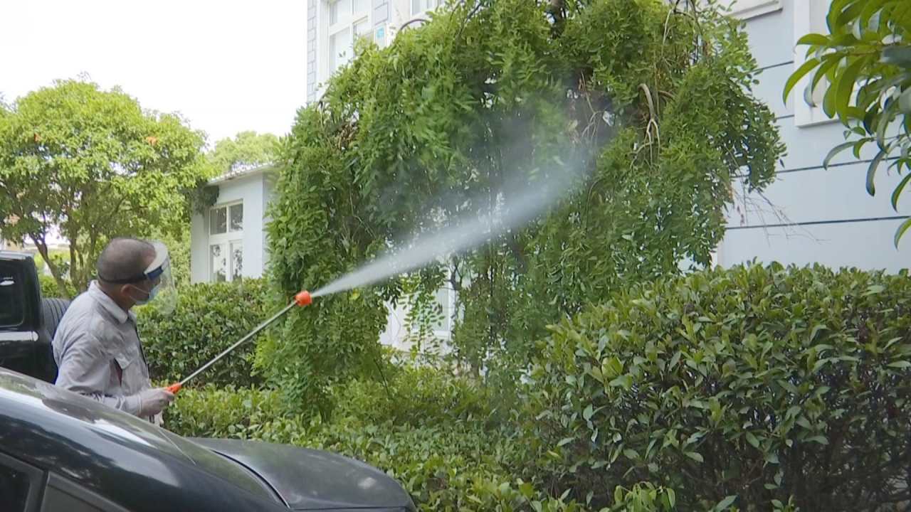 暂无图片
