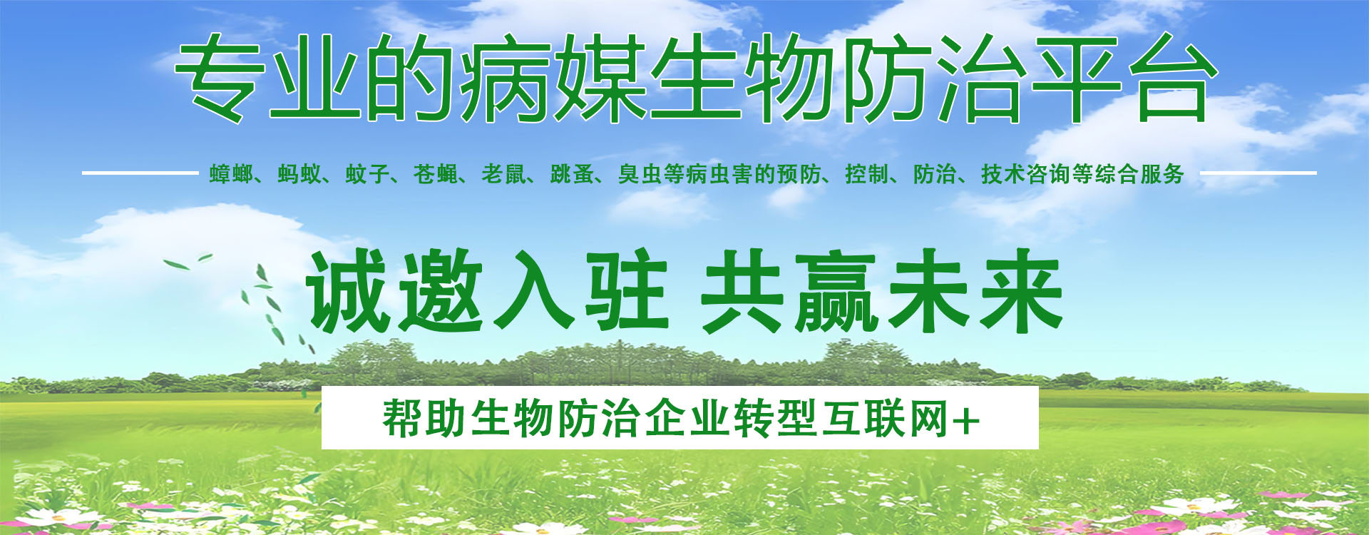 图片错误