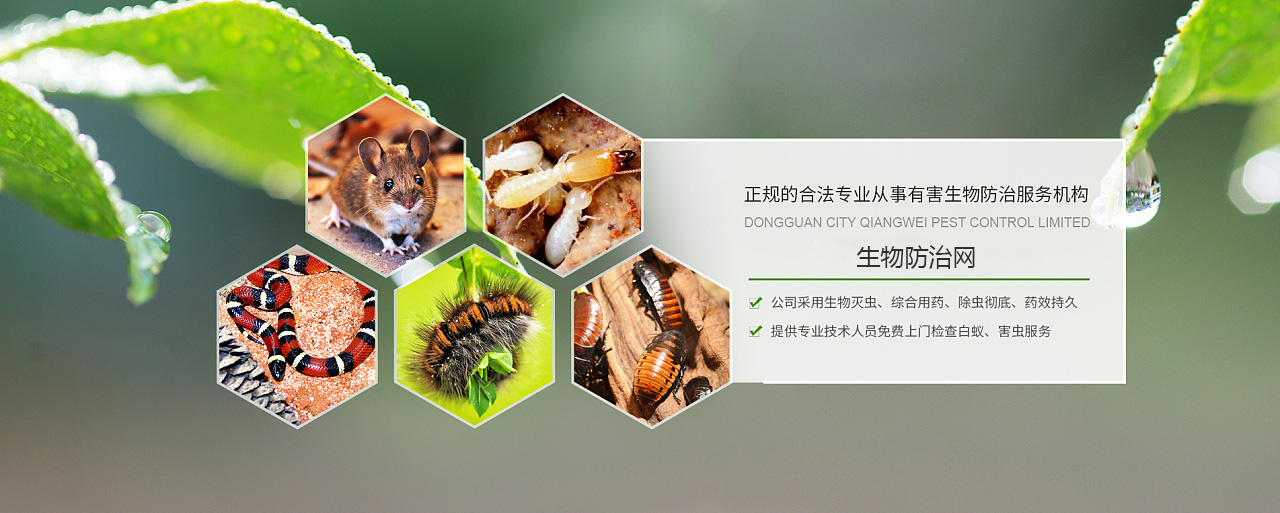 图片错误