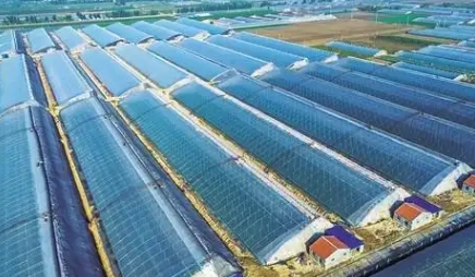 设施蔬菜病虫害农业防治和物理防治主要技术措施