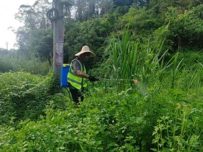 益阳市聚力推进2025年林业有害生物防控工作 筑牢生态安全屏障