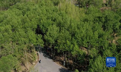 广东省森林病虫害防治实施办法