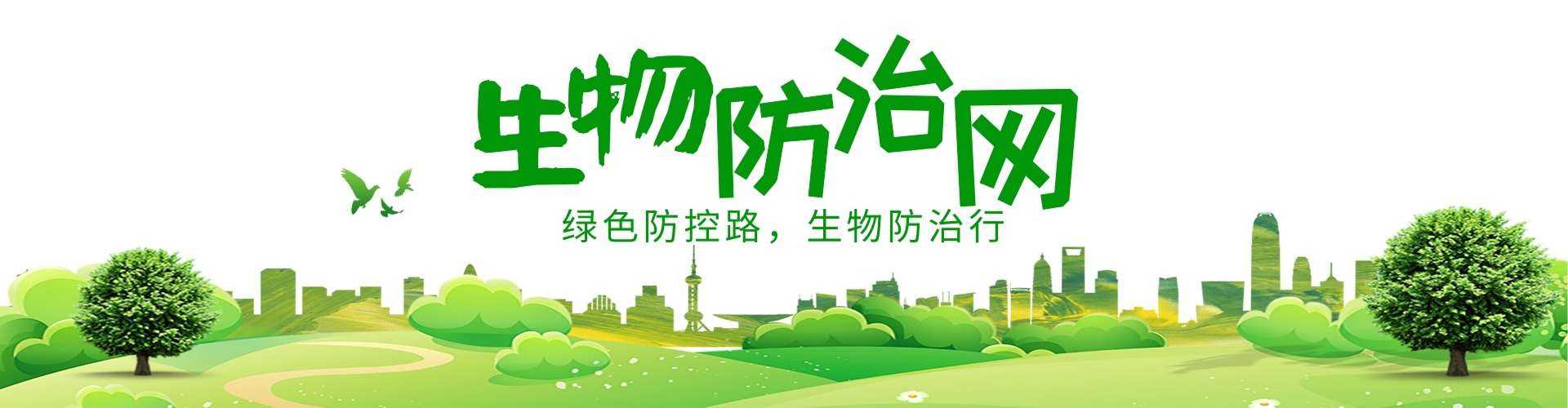图片错误