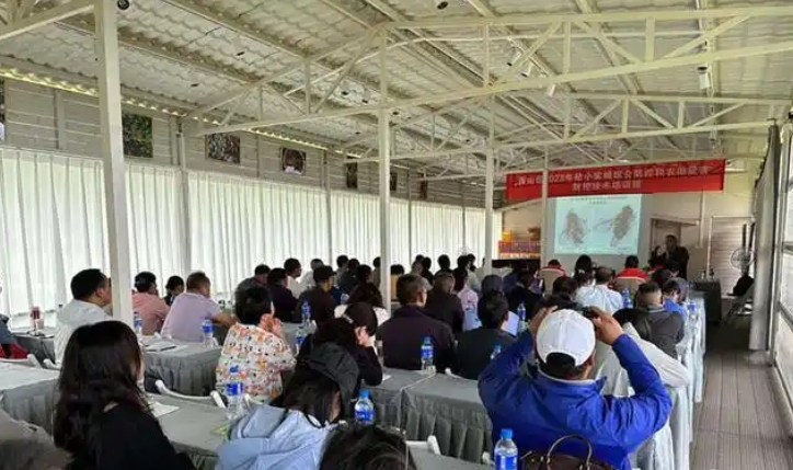西山区开展桔小实蝇综合防控及农田鼠害防控技术培训