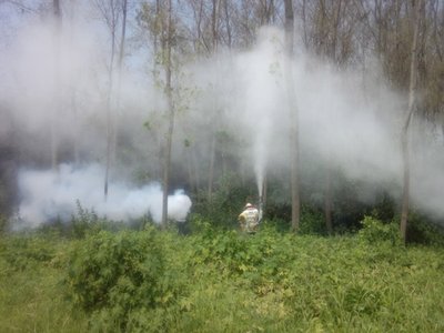 2025年林业有害生物防治药剂采购项目成交公告