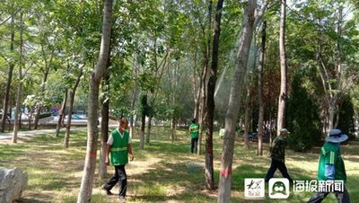 吉州以“蛛”护“株”探索防治害虫新模式
