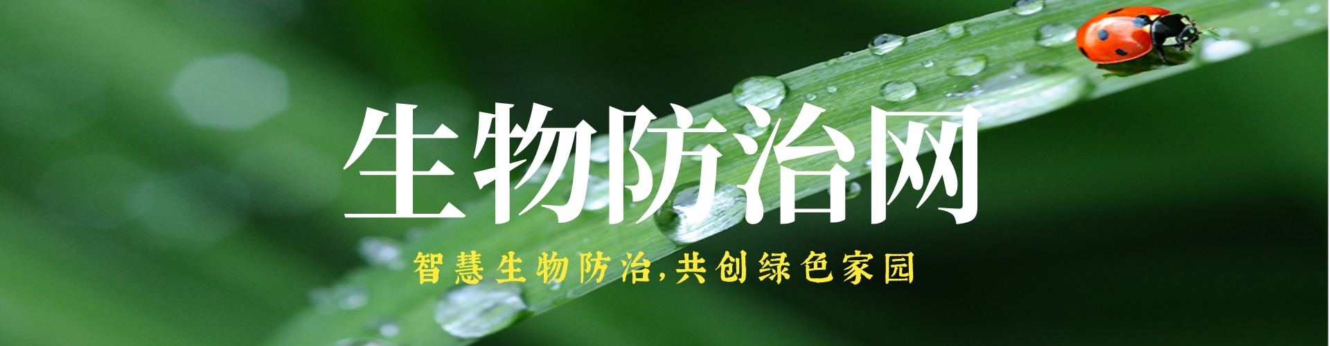 图片错误