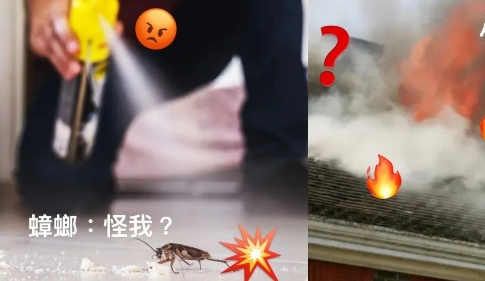 ​为了杀一只蟑螂，把一栋房子炸了？喷的杀虫剂怎么就要了人命？