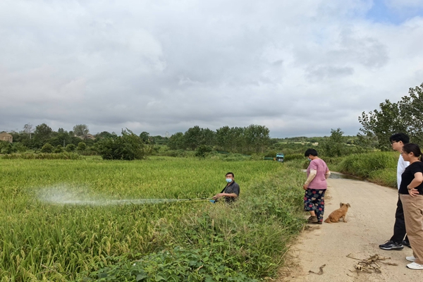 全椒县西王镇：防治稻飞虱 助农“虫口夺粮”