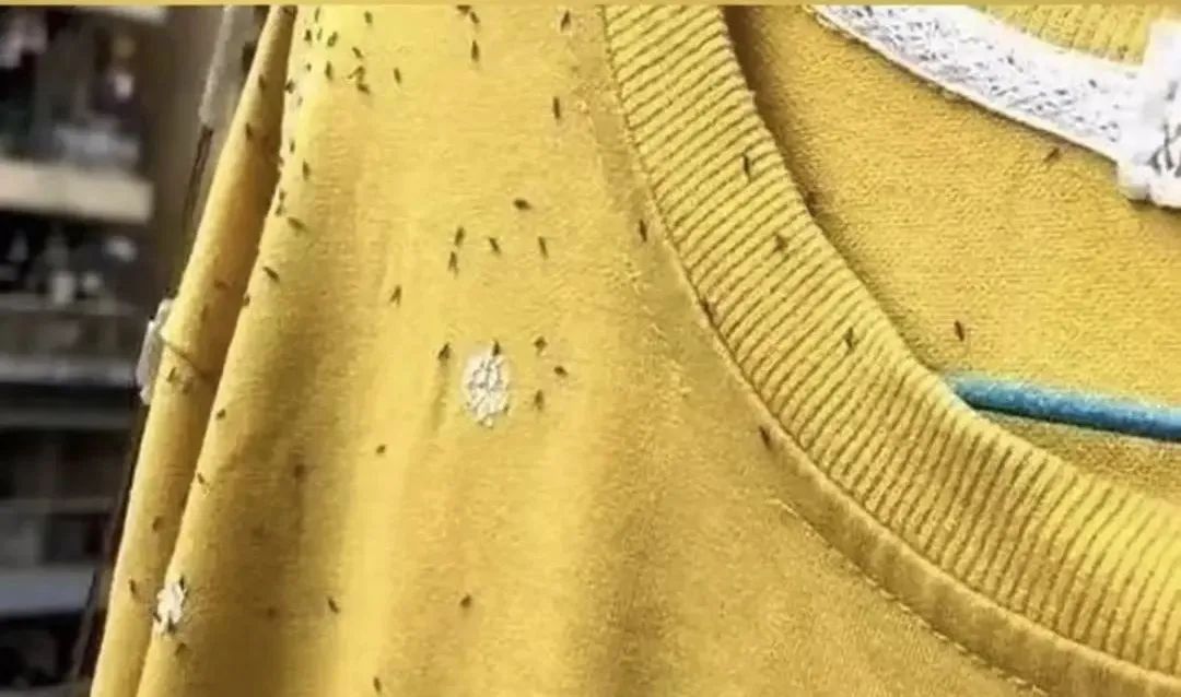 注意！近期少穿这种颜色的衣服出门