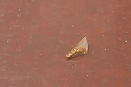 当心！这些小飞虫成群出现！杀虫剂不管用，get这几招→