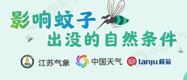 遇隐翅虫 千万别拍 医生支招应对夏季蚊虫出没