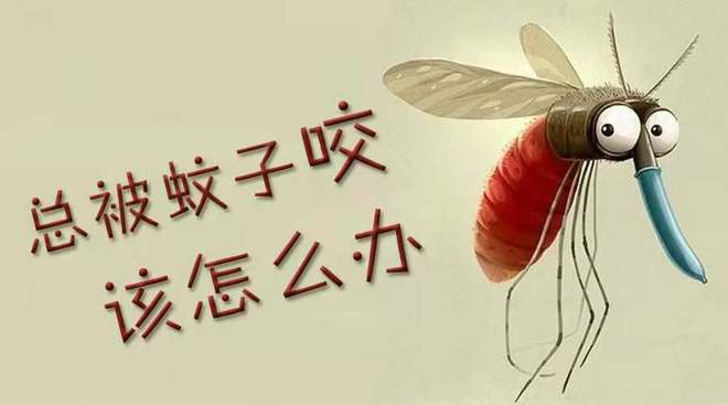 蚊子的克星，安全灭蚊的好帮手，诺印灭蚊灯