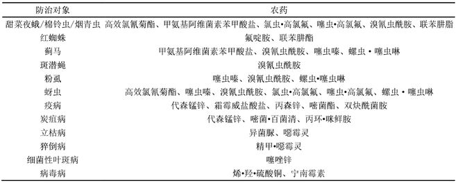 别让病虫害毁了你的甜椒！看看这些绿色防控技术！