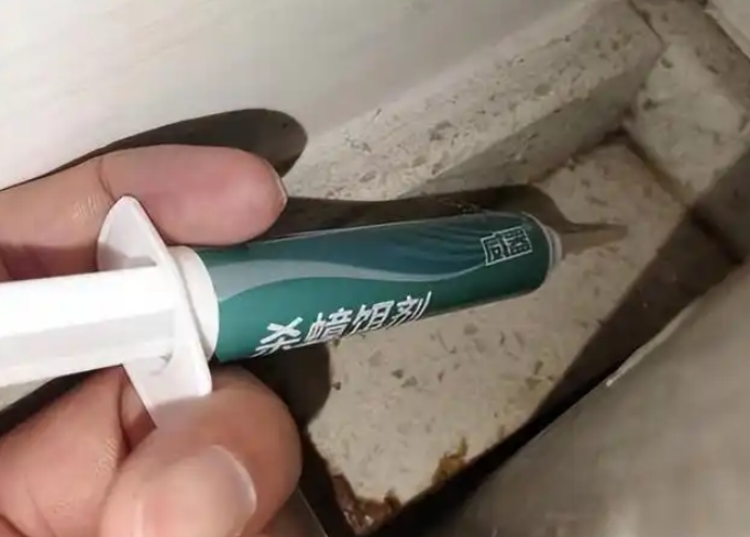 蟑螂怎么消灭最彻底！五个方法搞定家里的蟑螂