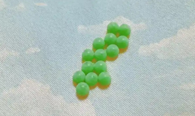 一出现就是14颗？家中出现“臭屁虫”别慌，专家支招科学应对