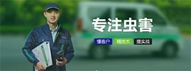 暂无图片