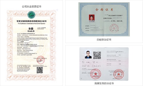 暂无图片